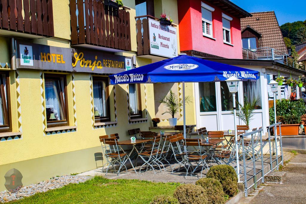 Hotel Sonja Bad Bellingen Ngoại thất bức ảnh